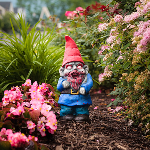 zombie garden gnomes